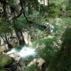 Capatini-Paring (3. den)