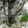 Capatini-Paring (3. den)
