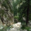 Capatini-Paring (3. den)
