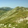 Capatini-Paring (7. den)