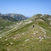 Capatini-Paring (7. den)