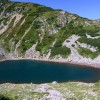 Capatini-Paring (8. den)