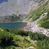 Capatini-Paring (8. den)