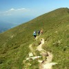 Capatini-Paring (8. den)