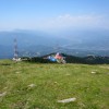 Capatini-Paring (8. den)