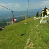 Capatini-Paring (8. den)