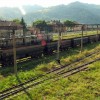 Capatini-Paring (8. den)