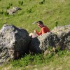 Šar Planina (3. den)