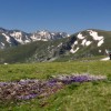 Šar Planina (6. den)