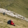 Fagaraš (5. den)