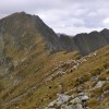 Fagaraš (6. den)