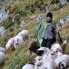 Fagaraš (6. den)
