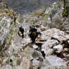 Fagaraš (8. den)