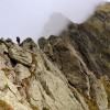 Fagaraš (8. den)