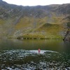 Fagaraš (8. den)